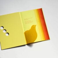 Yellow to Red