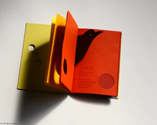 YELLOW TO RED - Image 5