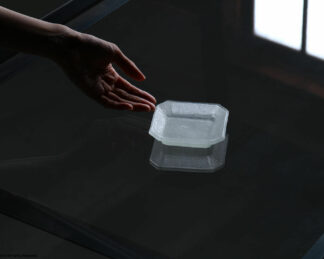 Compare the size of the plate with the hand.
