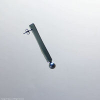 pearl stick earring / BK