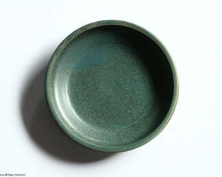 細リム深皿 8寸/ 錆緑