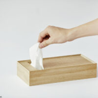 Take the tissue paper from the tissue box.