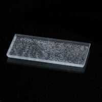 Narrow rectangular plate , mebuku