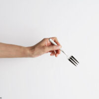 KAY BOJESEN, GRAND PRIX cake fork / Matte